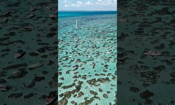 Roteiro Nordeste: 7, 10 e 14 dias no Rio Grande do Norte, Pernambuco e Alagoas