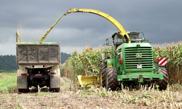 Setor de fertilizantes pede R$ 2 bilhões ao governo para conter impacto da guerra no Irã