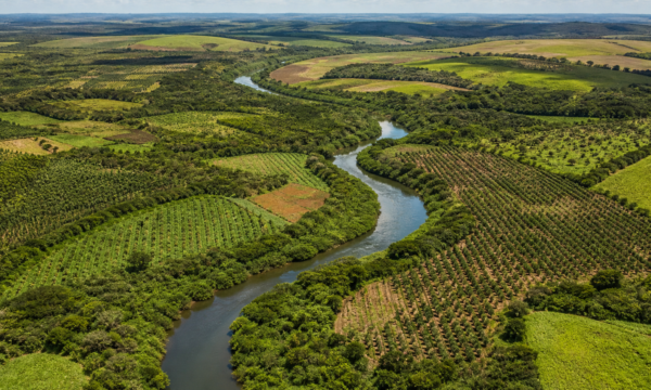 Inscrições do edital Restaura Rio Doce são prorrogadas até 30 de setembro