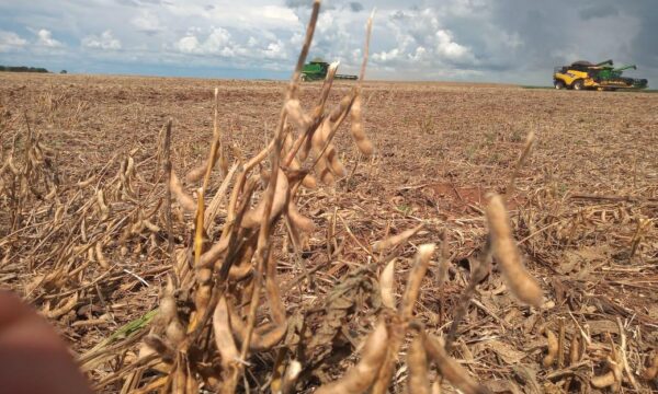 Aprosoja-GO e Faeg possibilitam antecipação do plantio de soja em Goiás