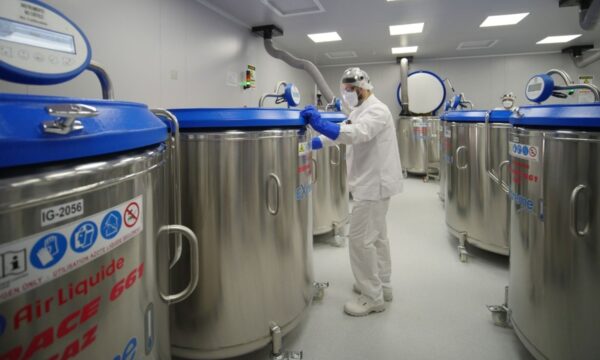 Febre aftosa: Brasil terá banco de antígenos para vacinas contra a doença