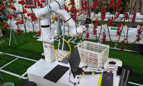 Embrapa e instituições chinesas firmam parceria para fortalecer IA e blockchain voltada à agricultura familiar