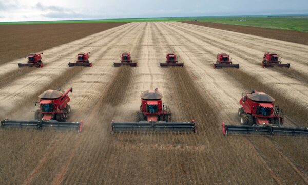 Do endividamento à imagem ruim: os problemas que o agro quer ver resolvidos pelo próximo presidente