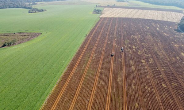 Você viu? Crédito para compra de terras dispara e atrai jovens agricultores